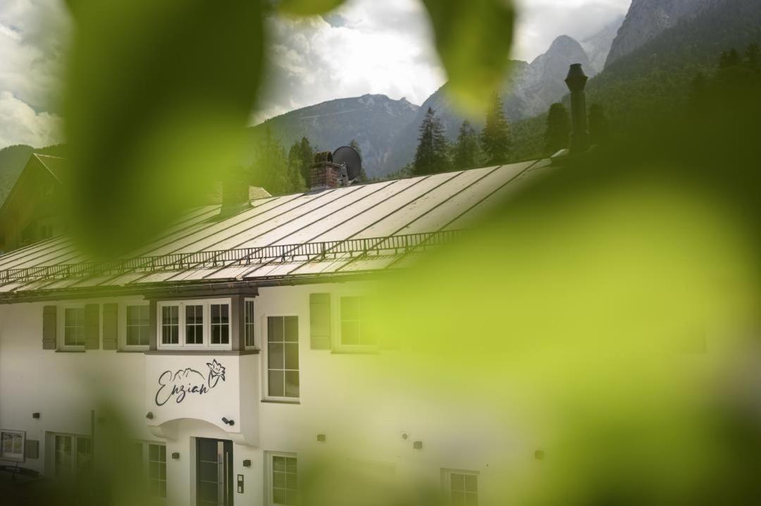 Enzian Apartments グライナウ エクステリア 写真